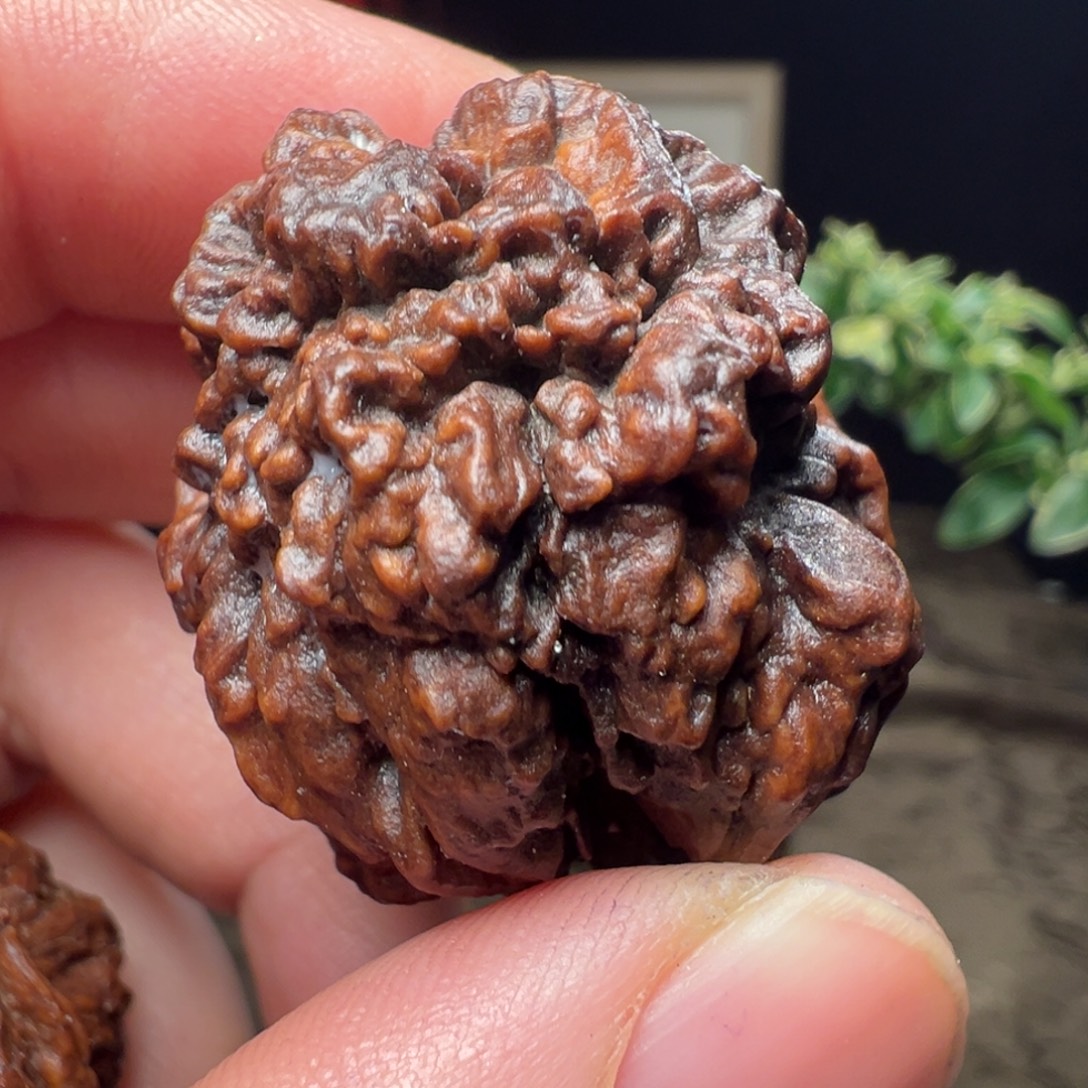 吊坠文玩核桃舍利子35mm