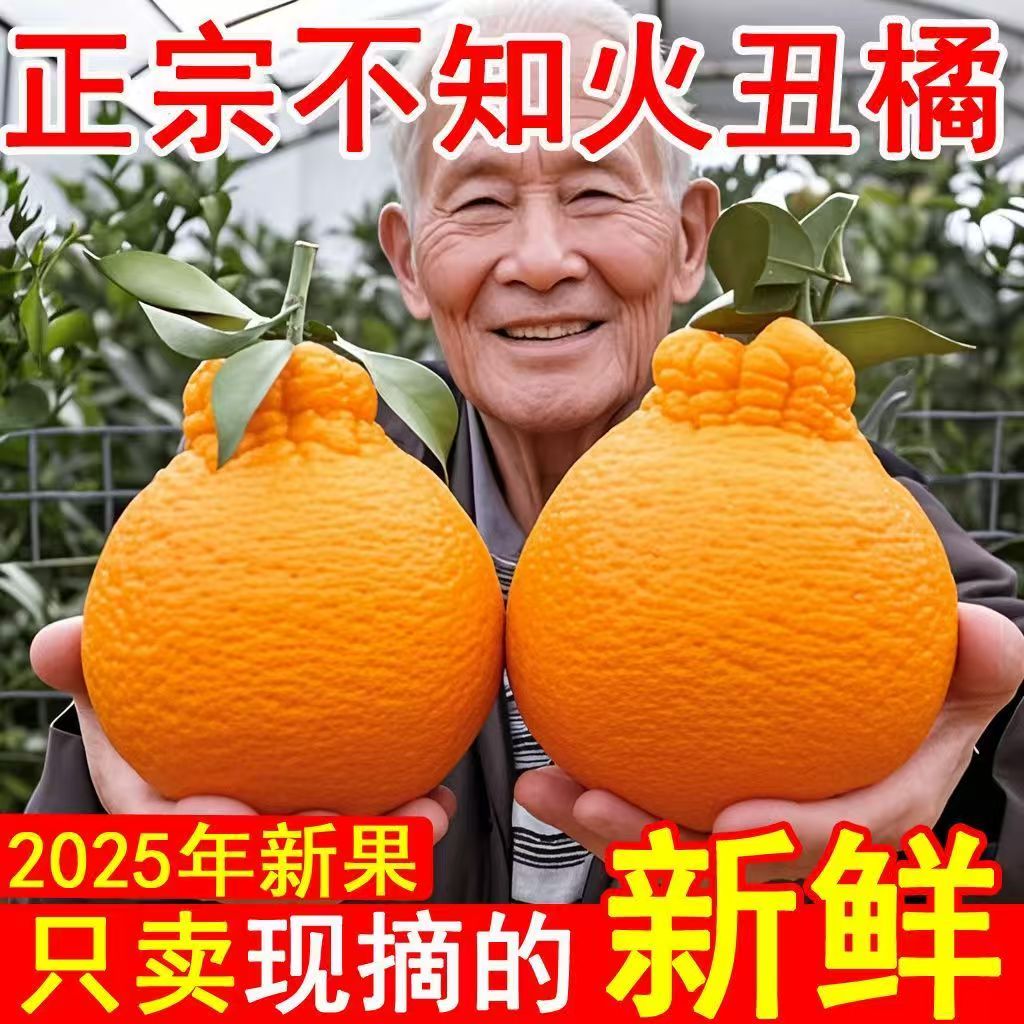 【精品彩箱】四川正宗高山丑橘不知火新鲜水果丑八怪柑橘整箱包邮