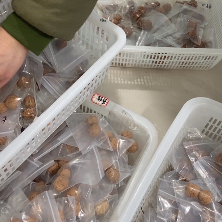 吊坠文玩核桃一单5对秋子