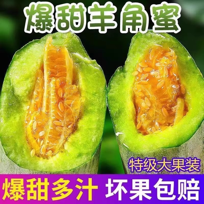 山东头茬羊角蜜甜瓜当季新鲜脆甜多汁水果启承