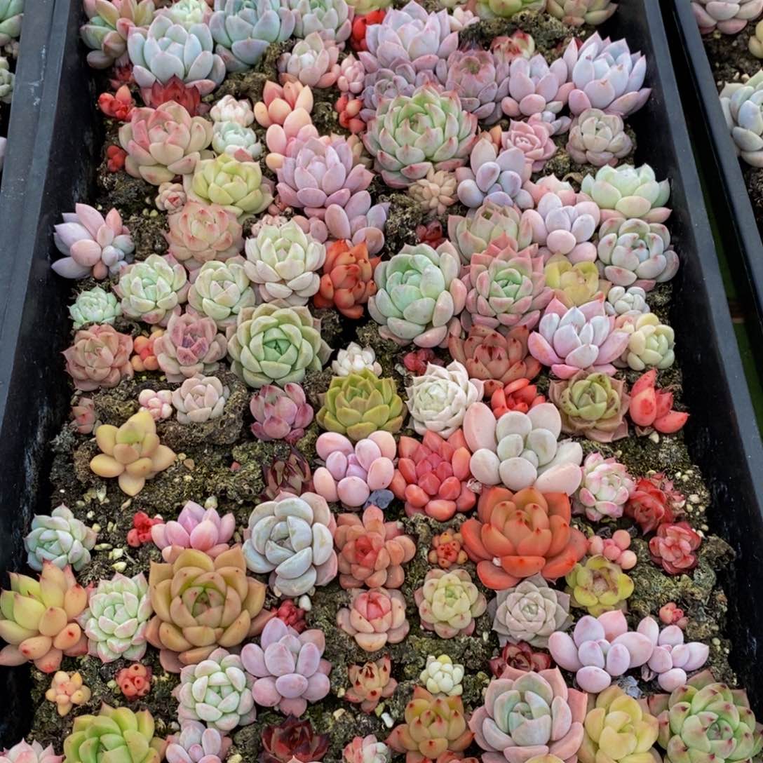 514的人在一起的时候就