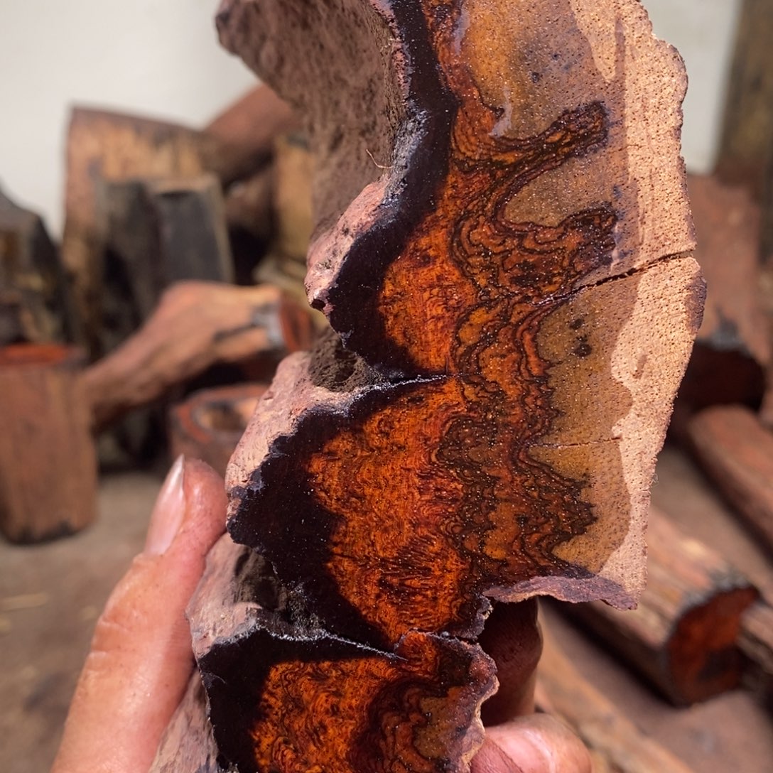 用***4有机玻璃在线阅读等多种