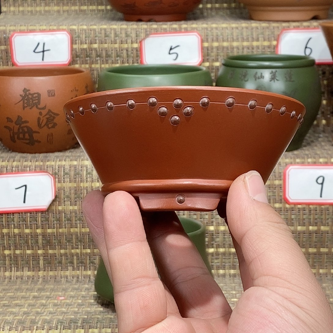 紫砂花盆我在等他