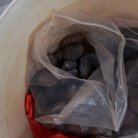 新疆天宝石细胞舍利硅化铁泥石工艺品碧玺（处理）阿**叶