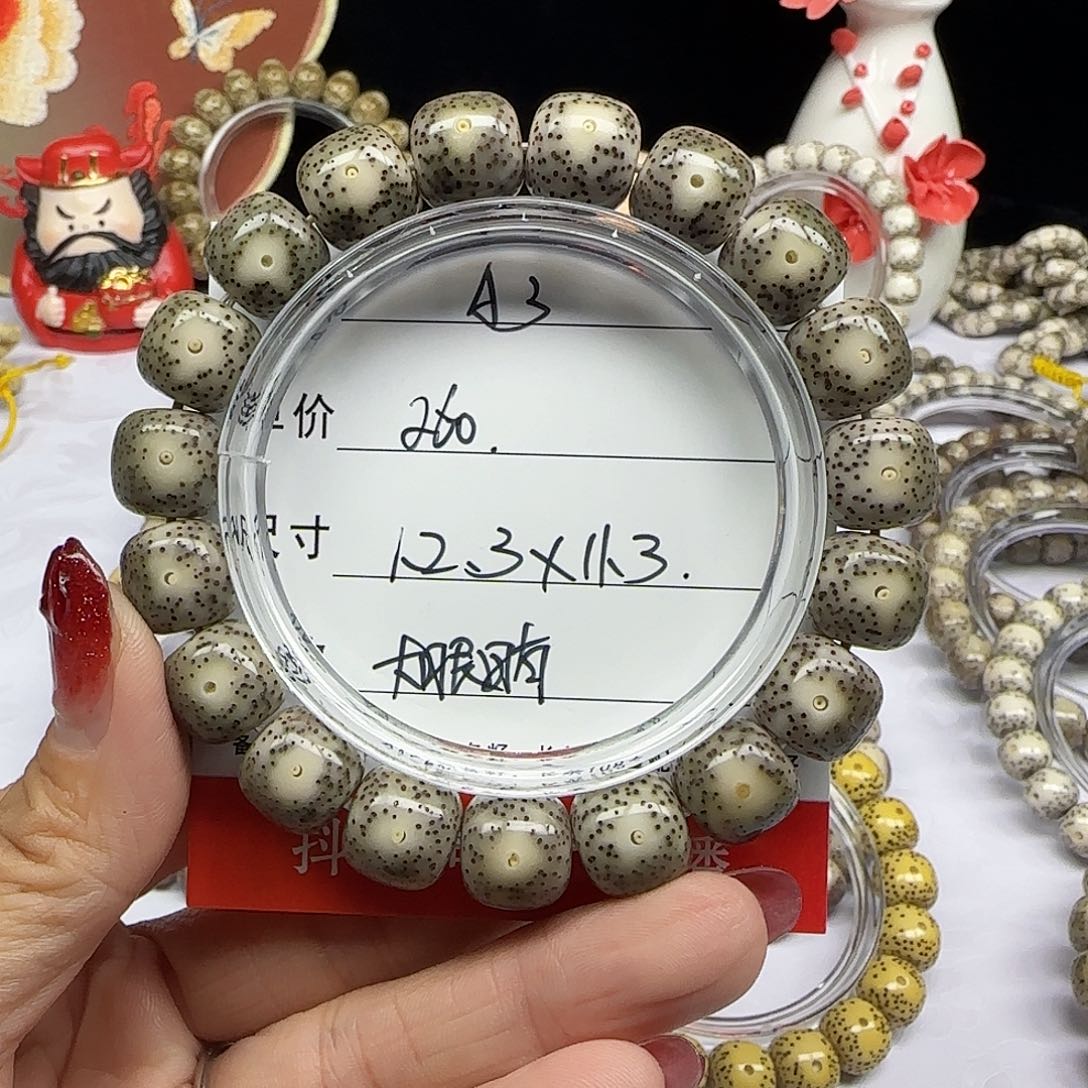 熙**巴海南心月星月菩提A3