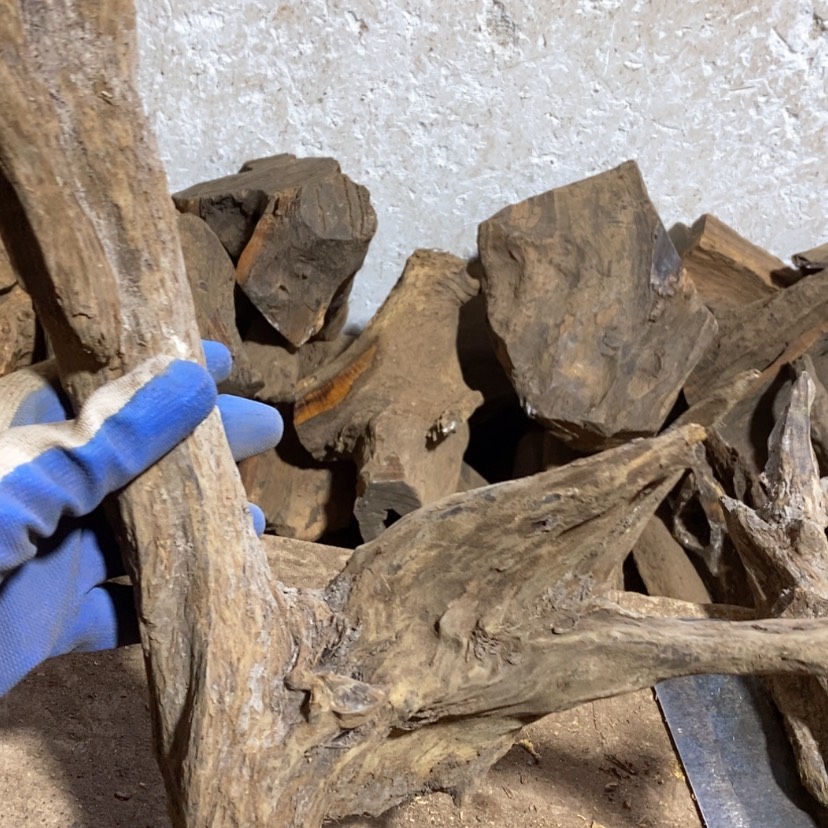 【闪购商品】贡木其他健***生定制1234568890