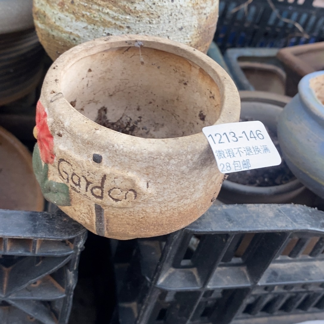 146号多肉盆口径6