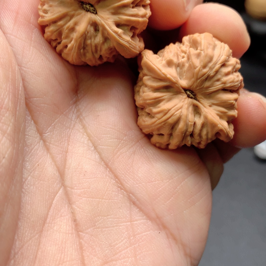 文玩核桃把件h*红宝石（尖微磕）