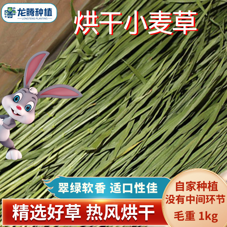 2025小麦干草烘干小麦草小麦苗兔子龙猫牧草毛重1kg兔子草兔草