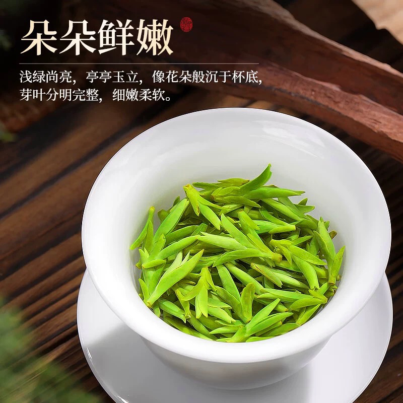 正宗雀舌龙井绿茶2025年明前新茶浓香型绿茶春茶