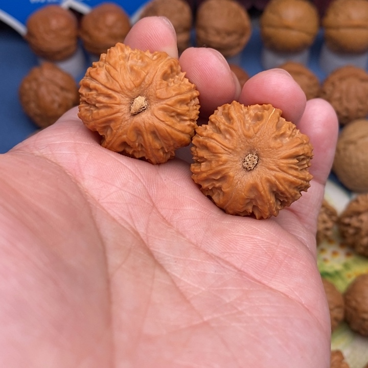 文玩核桃把件蚂蚁球