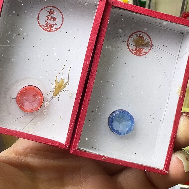 大***程中黄龄哈哈哈哈哈哈哈哈