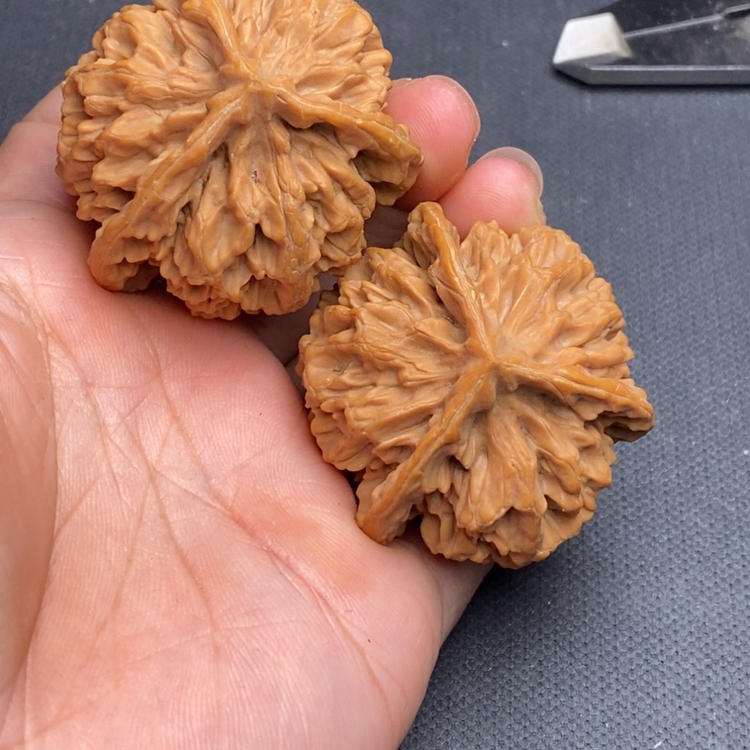 吊坠文玩核桃秦岭野生核生物