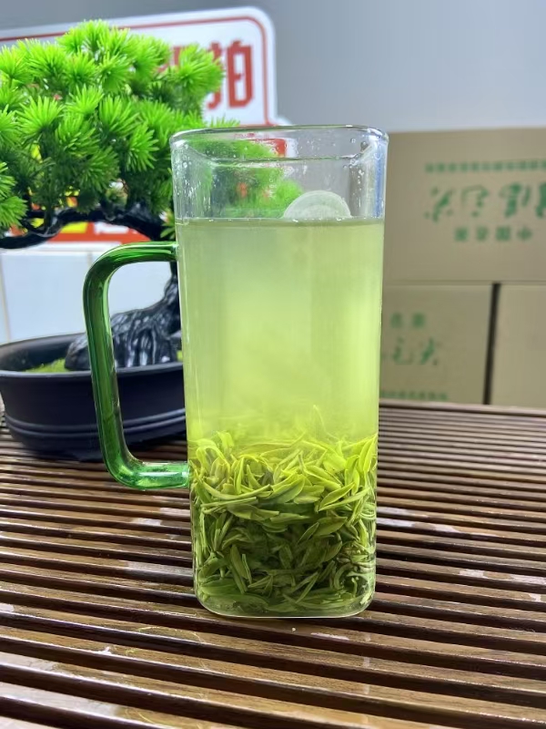 ④# 信阳毛尖2025新茶核心产区浉河港高山茶雨前中小芽