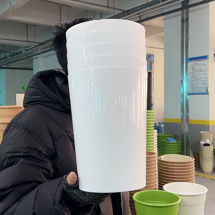 微瑕DD195口19.5高26.5白色无托5只