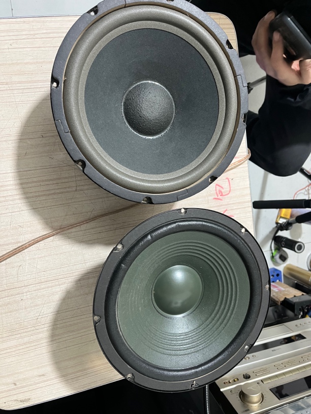 9新  二手 十寸双磁喇叭 单个出 出声 不带线材