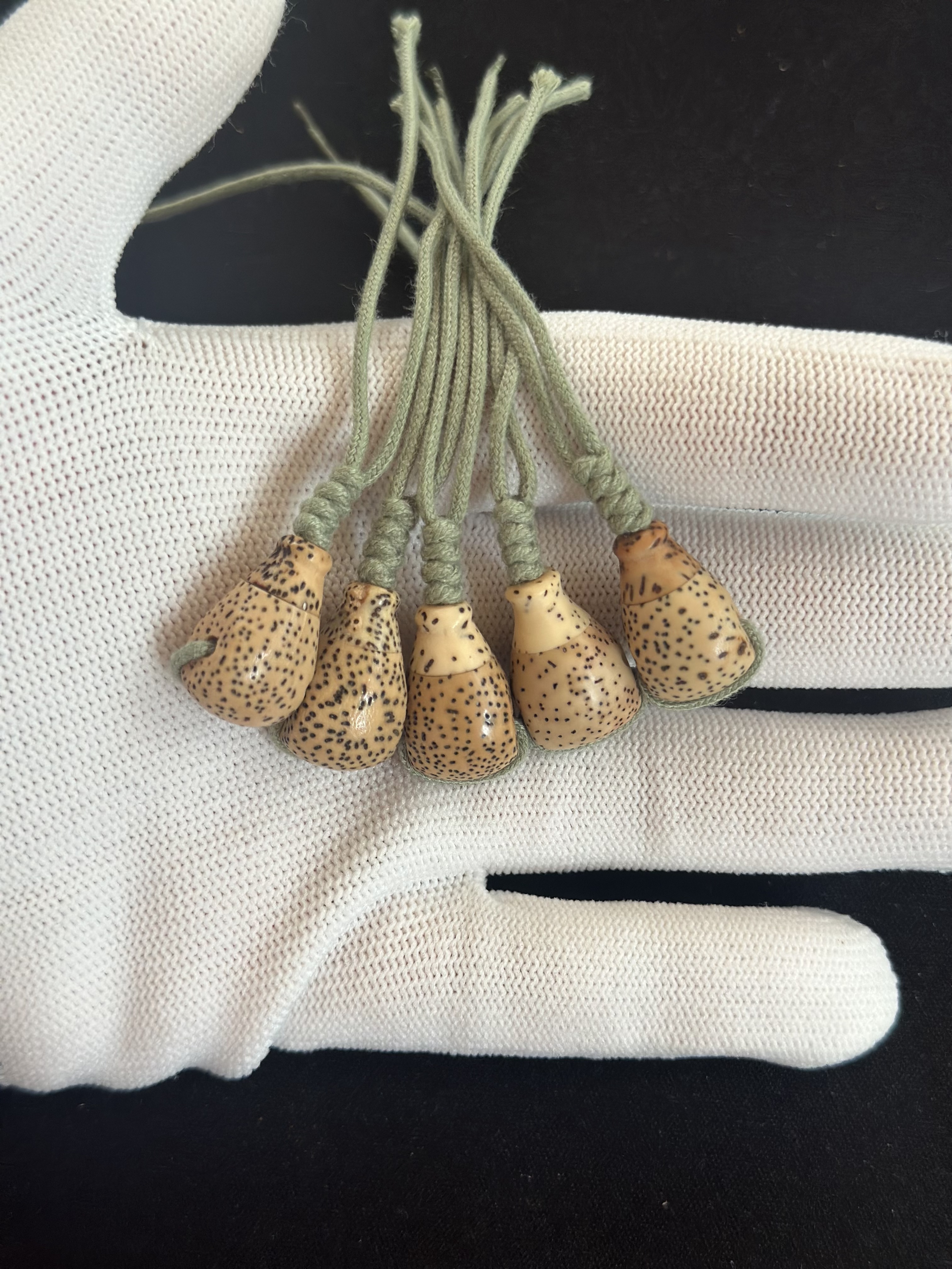 海南星月菩提陈籽原料三通