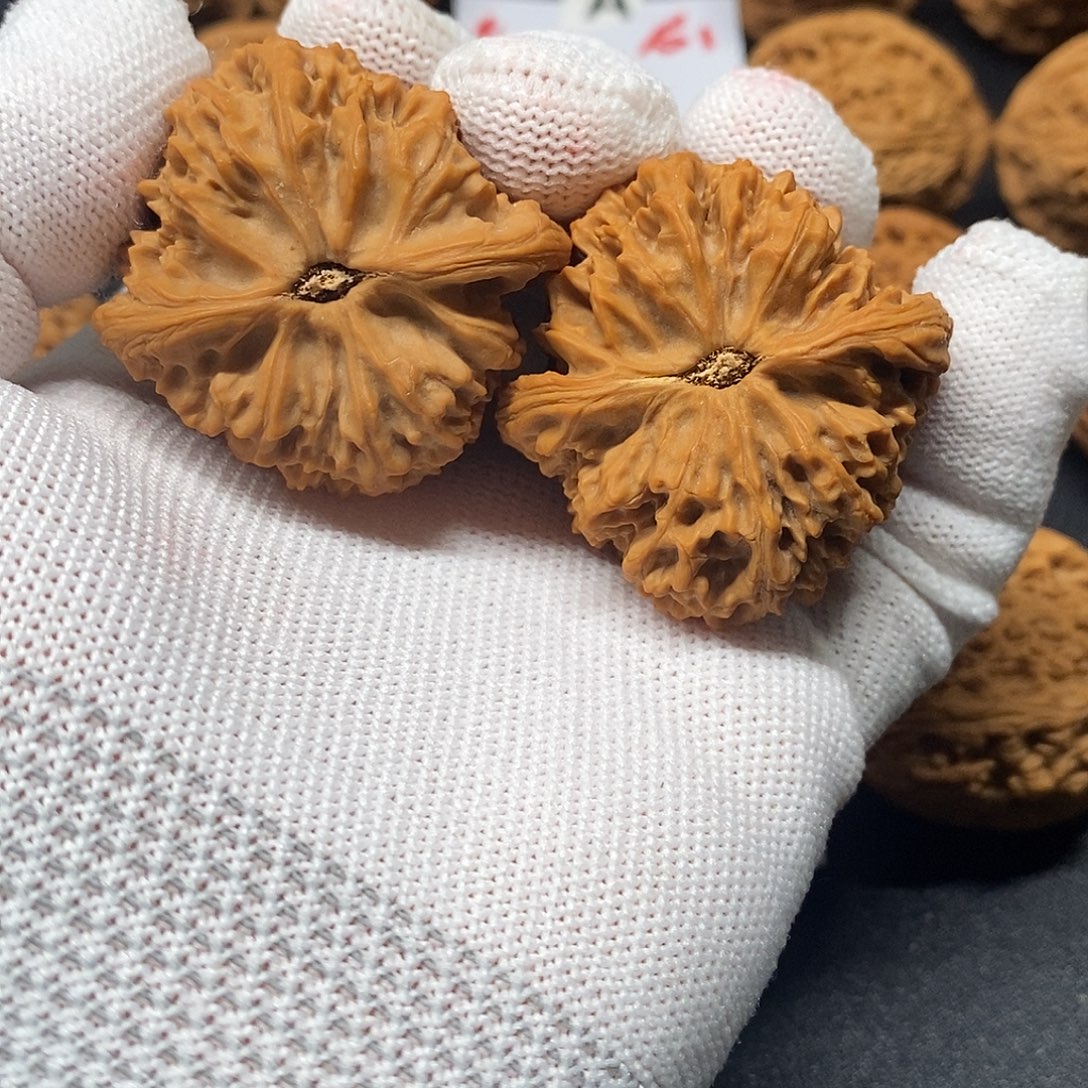 晚***旧41高炮南疆石核桃