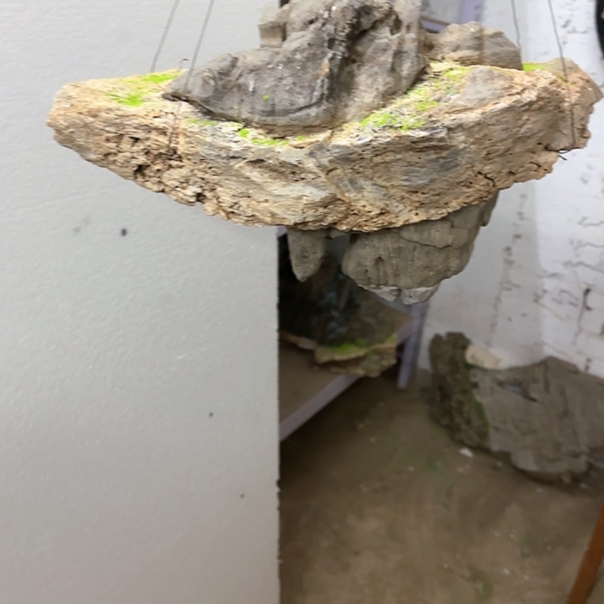 【闪购商品】香榧木洋*出来吃火锅吃起来也太好看辣