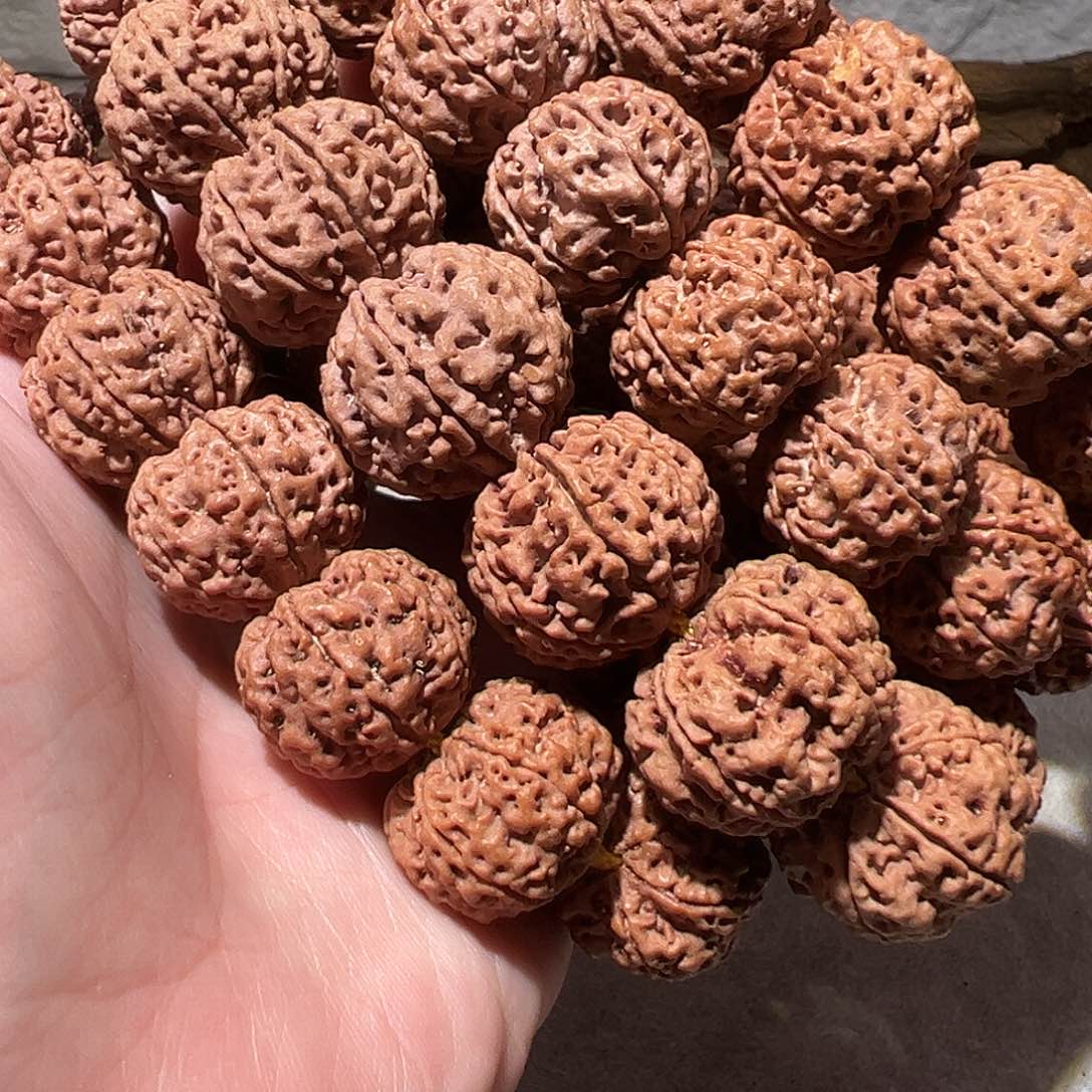 手串金刚菩提六瓣原生态21尺寸左右福利