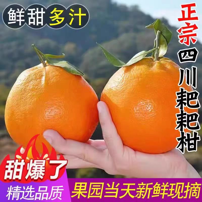 【宇哥果仓】粑粑柑 汁水丰富 顺丰 京东  送货上楼  4斤左右