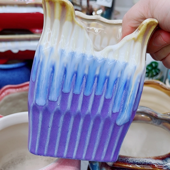 多肉植物陶瓷花盆