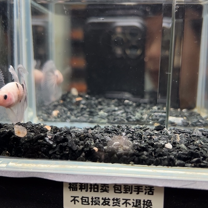 斗鱼跑单拉黑13日38
