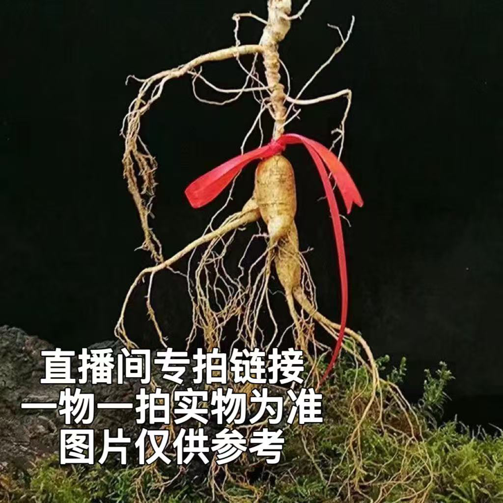 新鲜人参改价链接一物一拍，实物以直播间为准