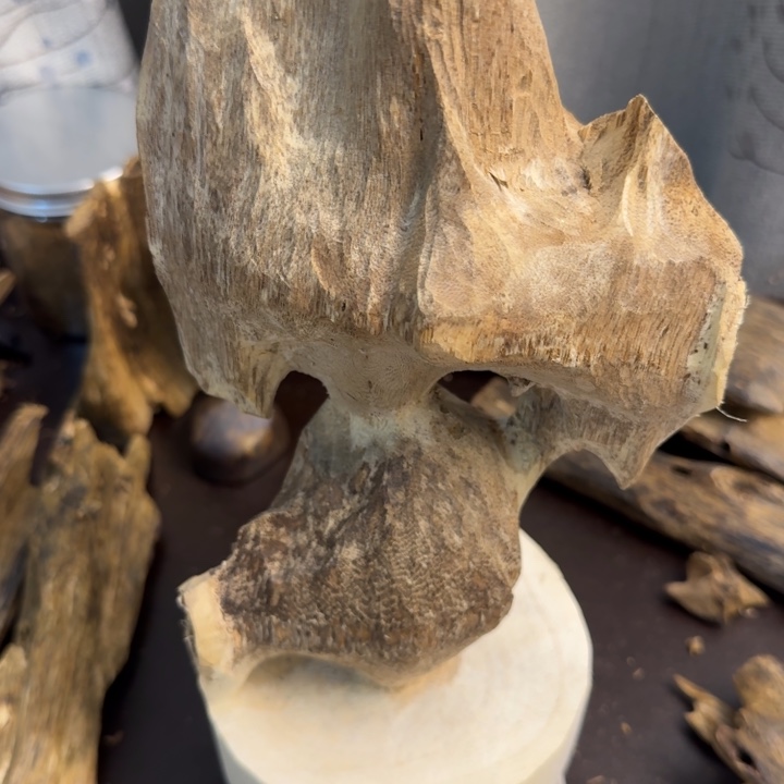 沉香碎屑沉香野料虫漏383克