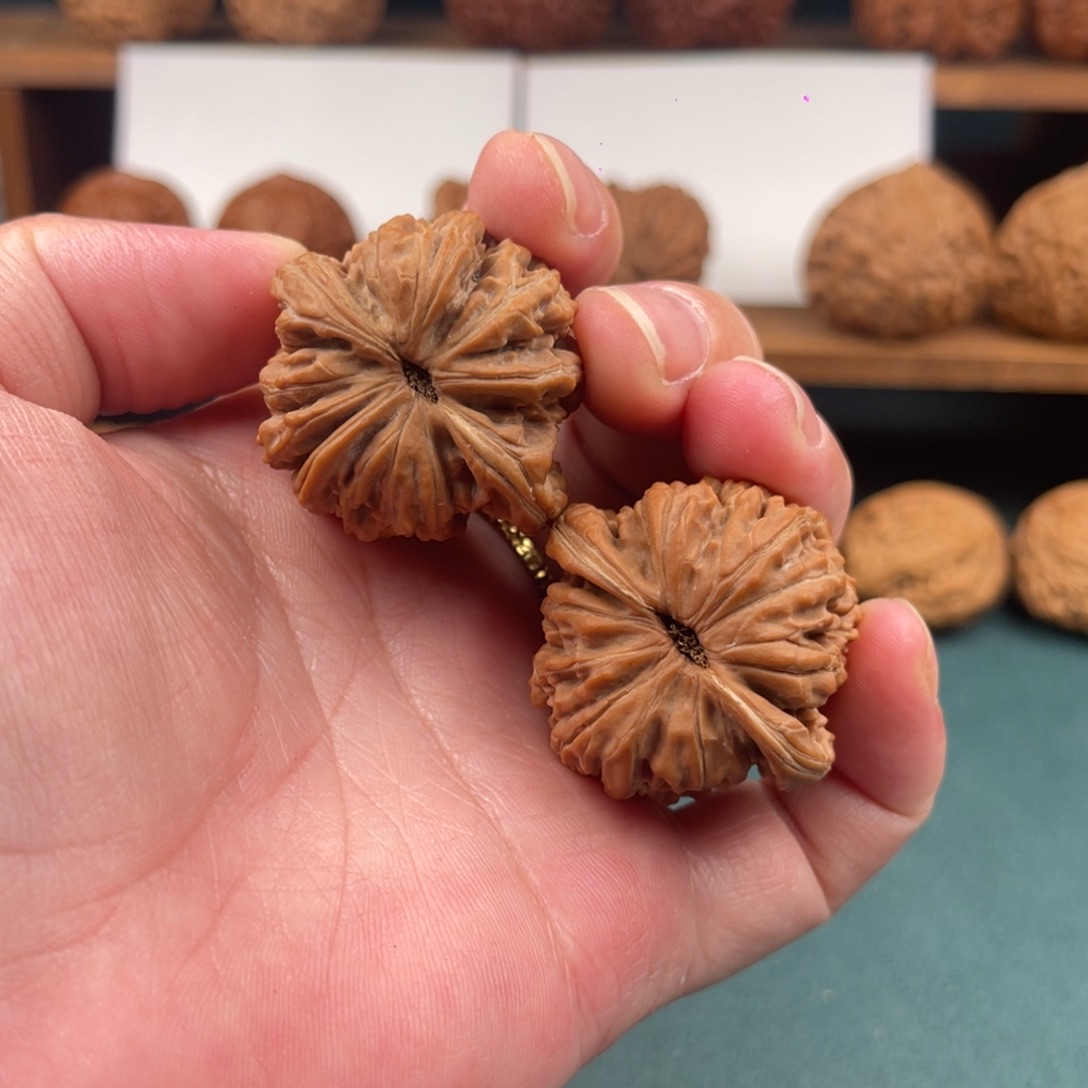 35.5尺平谷四座楼核桃