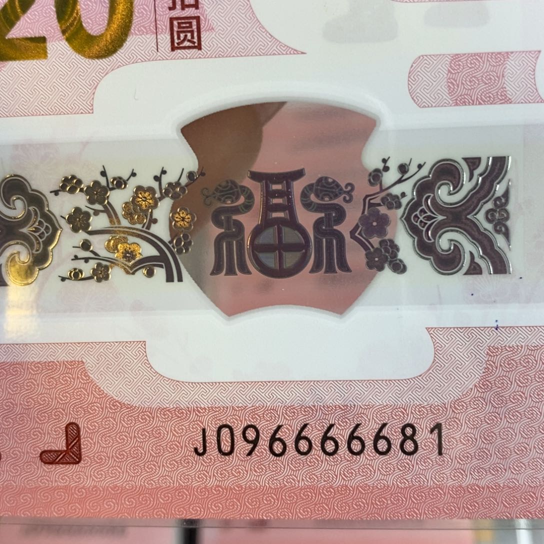 塑料 6681。。。。。。。。。。。