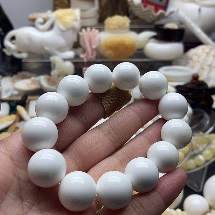 非金属贝壳全白通货1.8单圈