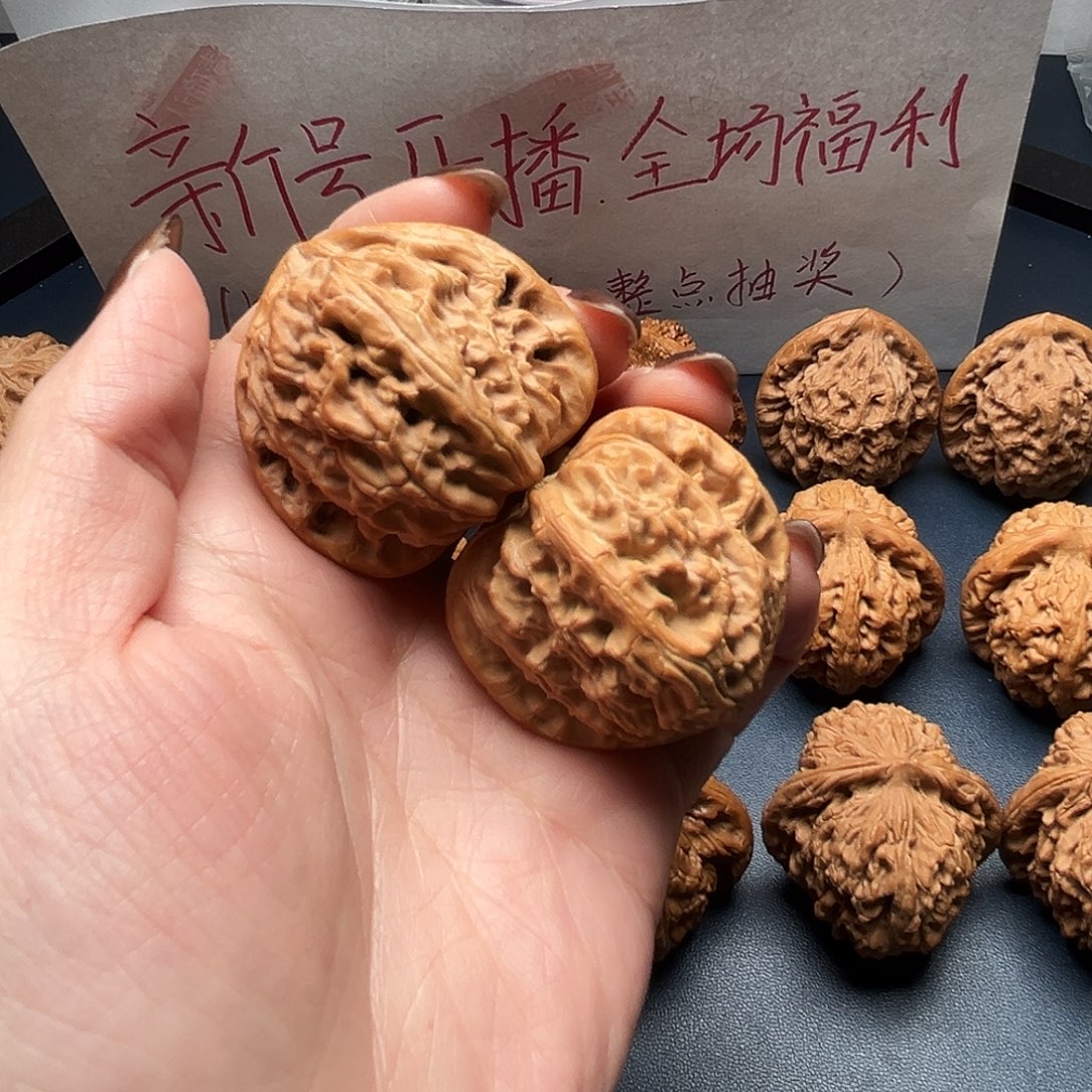 喵***爹核桃40尺寸白狮子