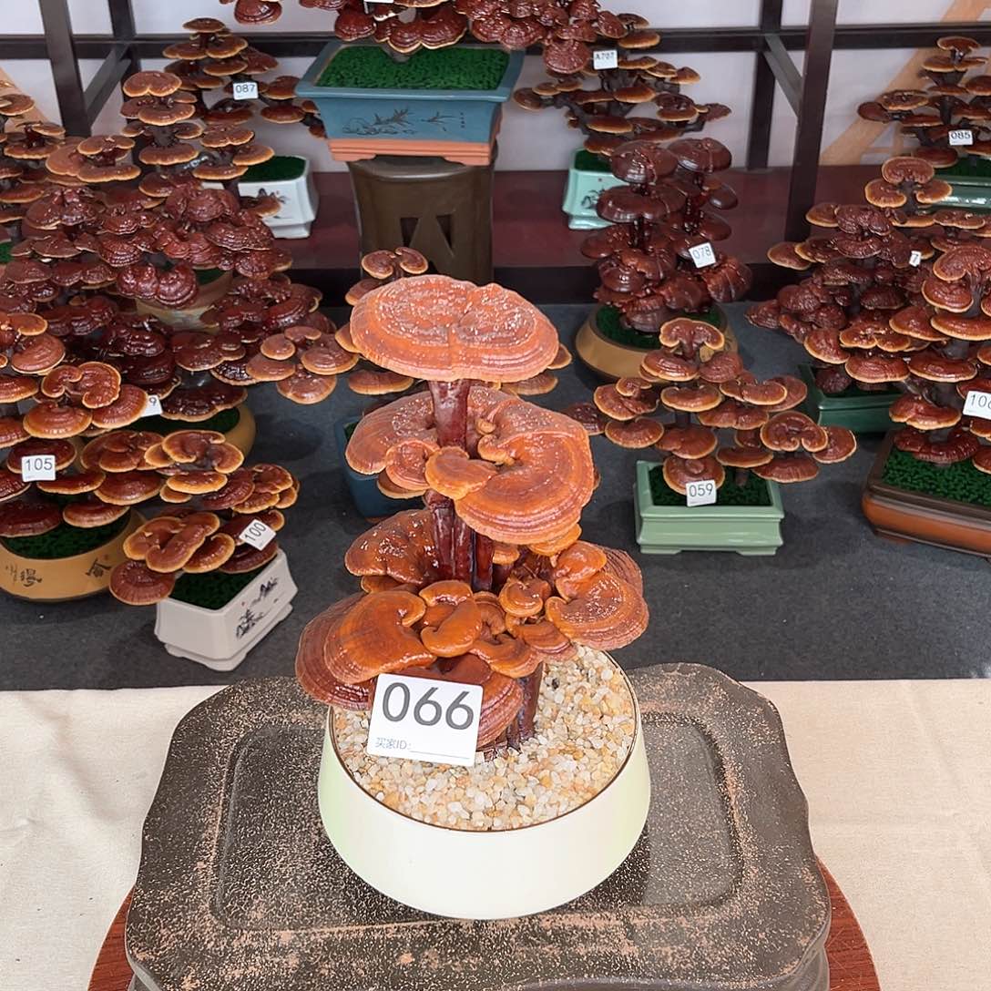 万事如意888888066