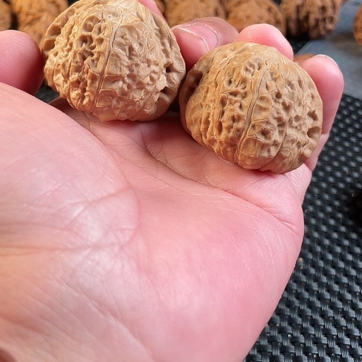 把件文玩核桃南瓜墩44