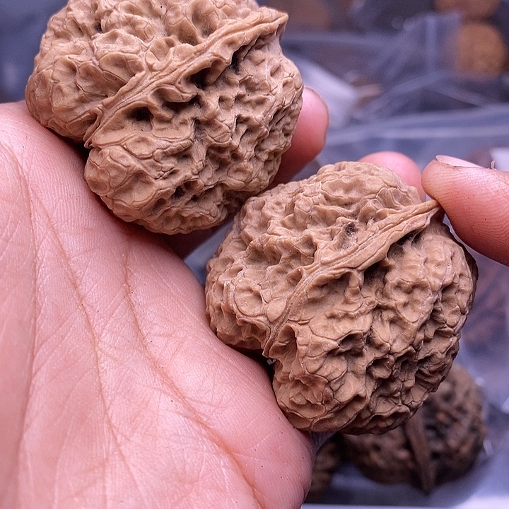 把件文玩核桃   246