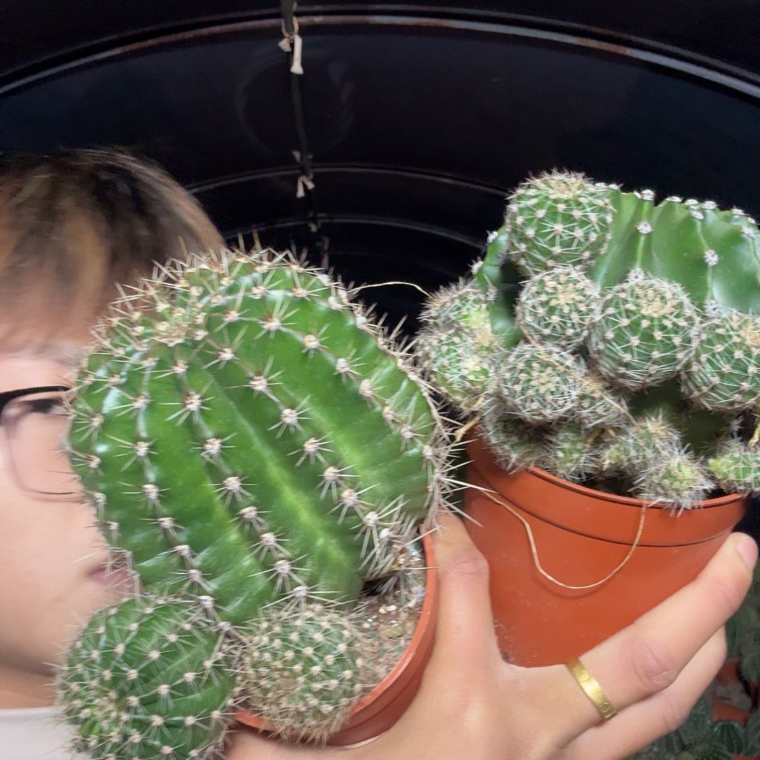 慧***雨无花朵彩草哈哈哈哈个哈哈哈哈