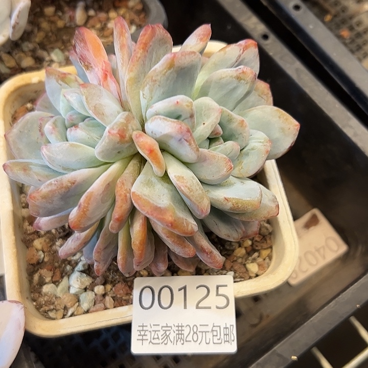 幸运的是我还没遇到过