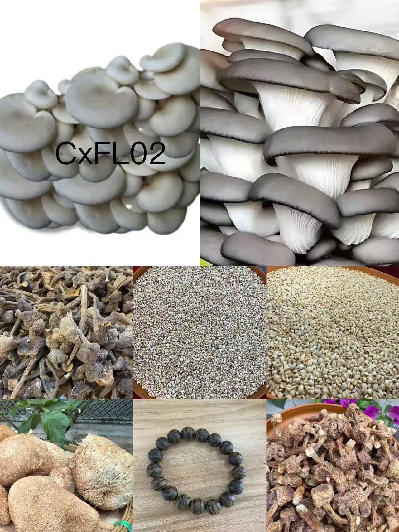 《阿浩专用土特产CXFL02》多样性发货 重量18克左右