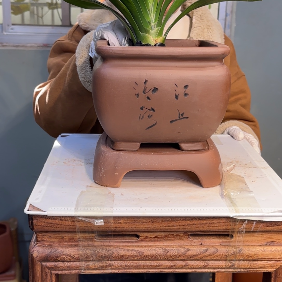 花盆紫砂紫砂口径19