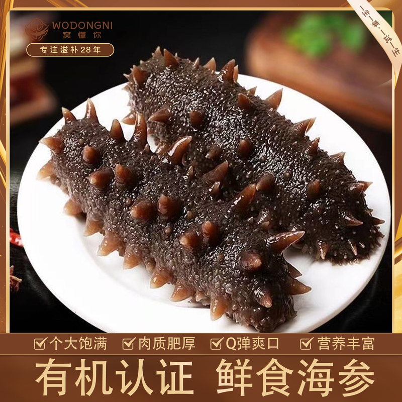 姗姗夫妇-大连即食辽刺参 海参皇