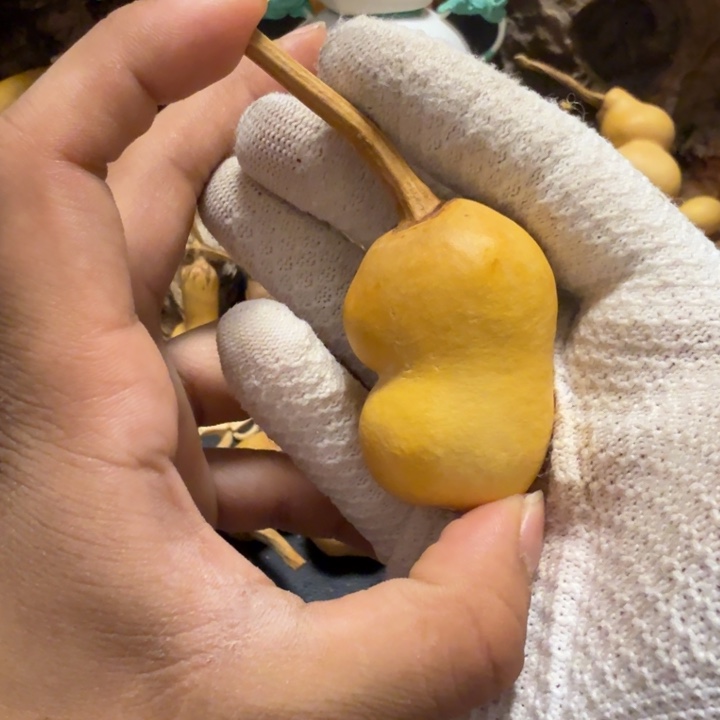 中***邢瑕疵666666666666