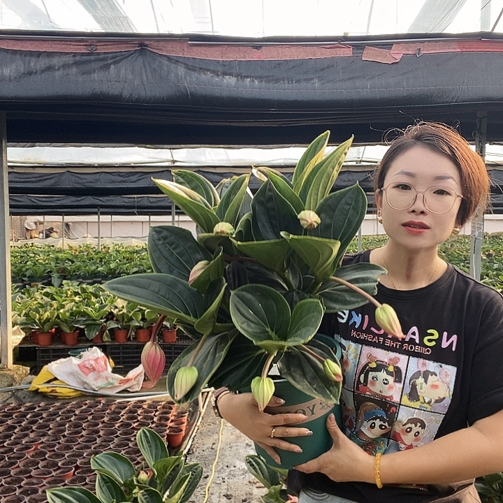 用***4哈哈你也太可爱啦哈哈哈