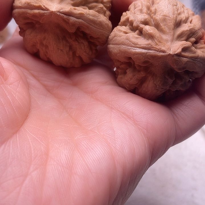 金***j大叶紫檀（黑酸枝木类）