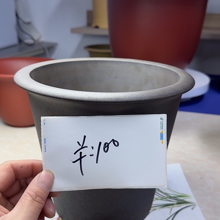 春秋花盆精品兰盆