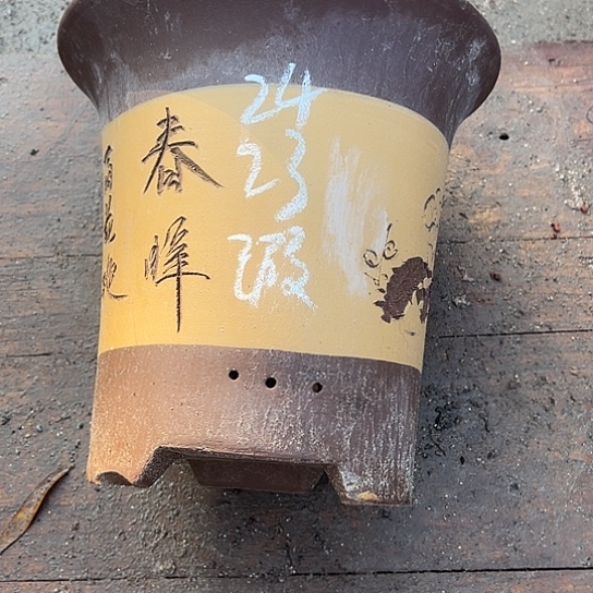 紫砂工艺厂……紫砂工艺厂……