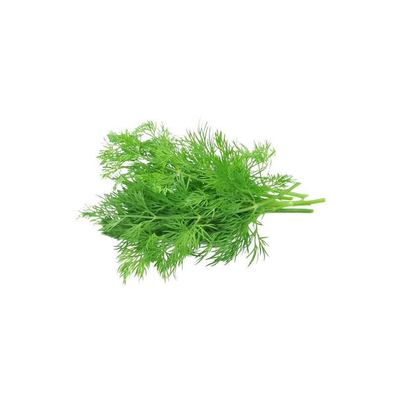 新鲜茴香90-100g