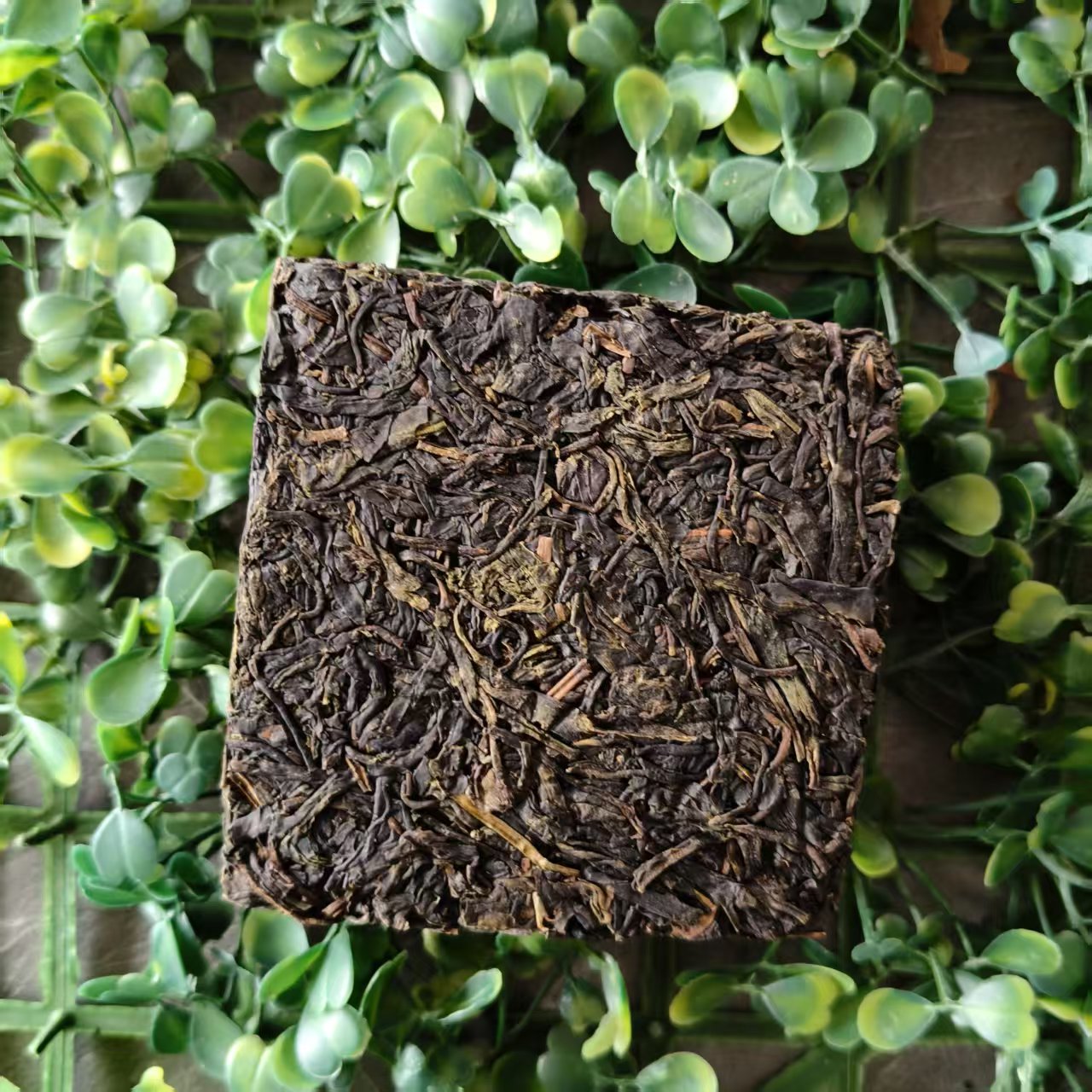 雨腾妹夫"T灯”菩提XR亲自点H菩提X树紫芽天尖200g/砖 生茶（6月6）