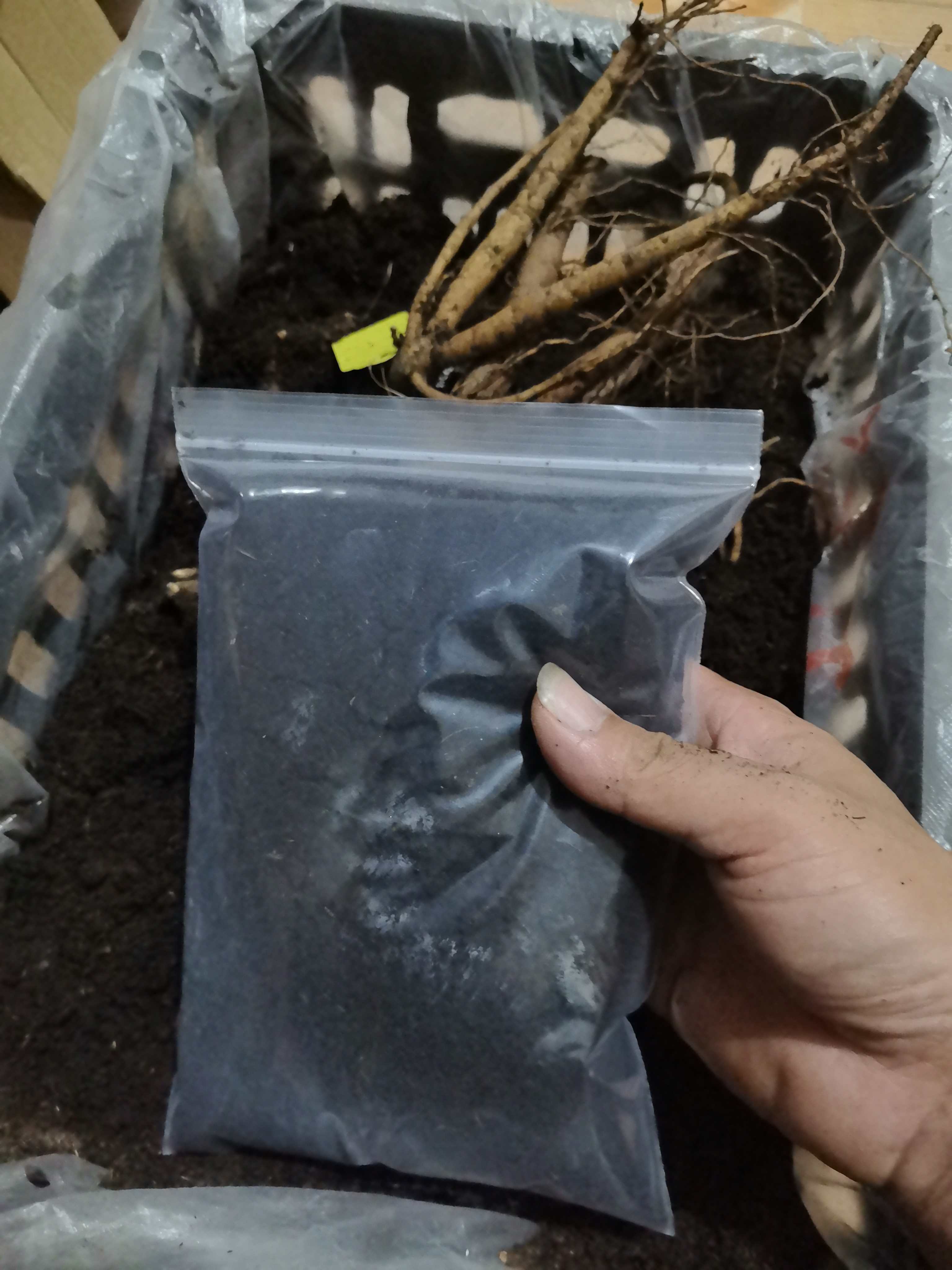 微生物有机发酵草花树木果蔬土栽通用型植料营养土
