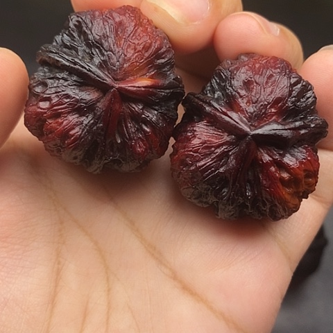 文玩核桃把件37尺云南核桃